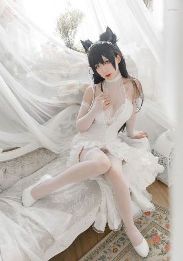 女子监狱2023_国产剧在线观看完整版
